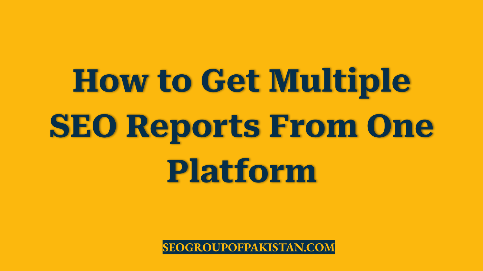 How to Get Multiple SEO Reports From One Platform